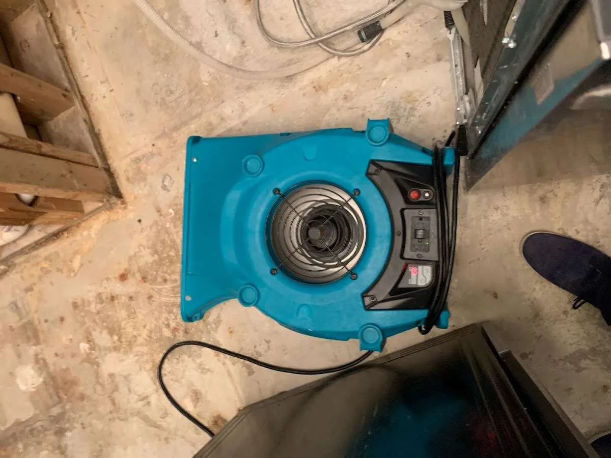 Air mover drying equipment for Mold Remediation & Removal in Chelsea
